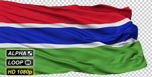 Realistic Gambia Flag Waving Animation with Alpha Channel