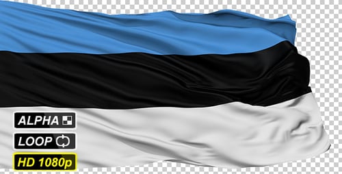 Seamless Loop Waving Flag of Estonia Animation