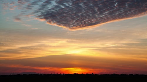 Sonnenaufgang im Feld