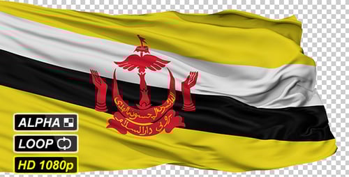 Waving Brunei National Flag Realistic Animation