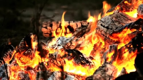 Contrast Bonfire