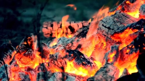 Fire