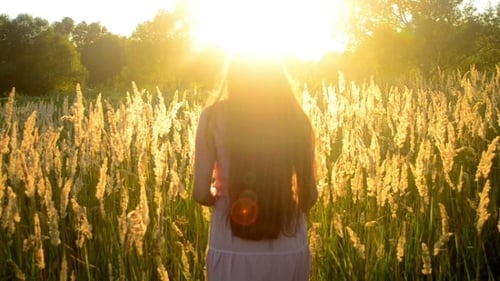 Femme aux longs cheveux fluides sur le terrain en face du soleil lumineux du soir
