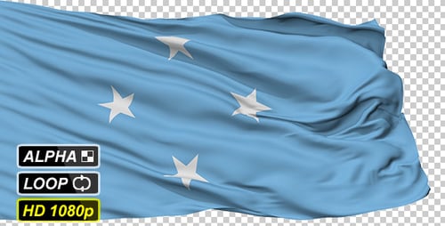 Realistic Waving Flag of Federated States of Micronesia
