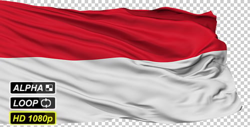 Realistic Waving Flag of Indonesia