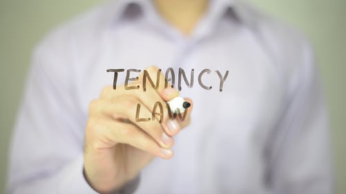 Writing Tenancy Law on Clear Surface