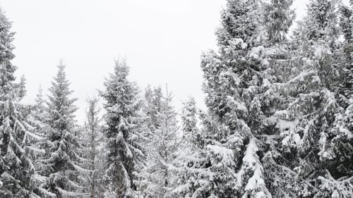 Winter Schnee