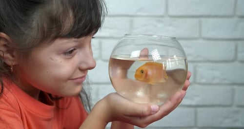 Girl Gently Looks at Pet Fish in Bowl