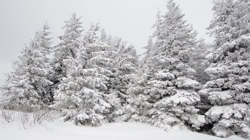 Winter Snow