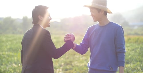 Partners Hand shake