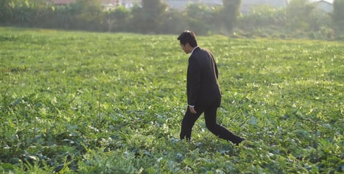 Geschäftsmann geht auf Feld