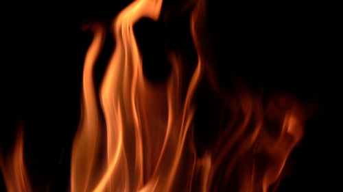 Intense Flames Dancing Against Black Backdrop