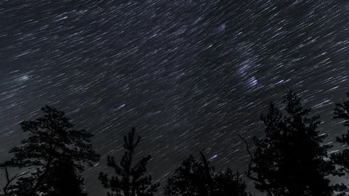 Star Trails in the Night Sky
