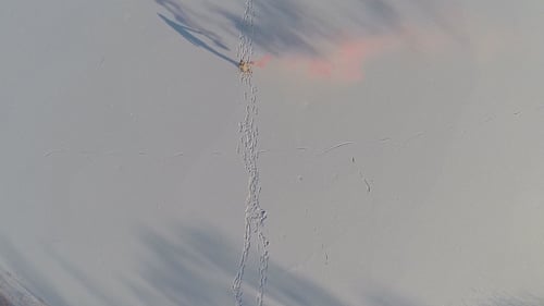 Walking Across Snowy Wilderness With Flare Aerial View