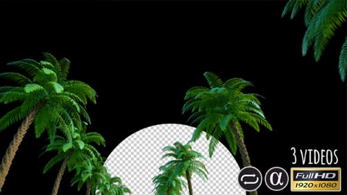 Animated Swaying Palm Trees Loop