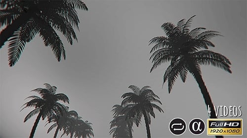 Bottom View Of The Palm Trees - 4 Pack