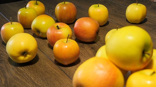 Yellow Apples Rotating