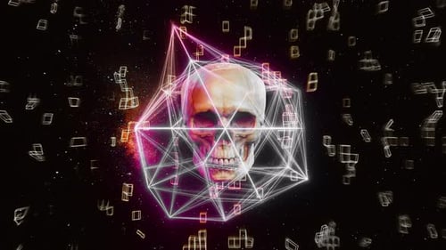 Skull Audio React Transform