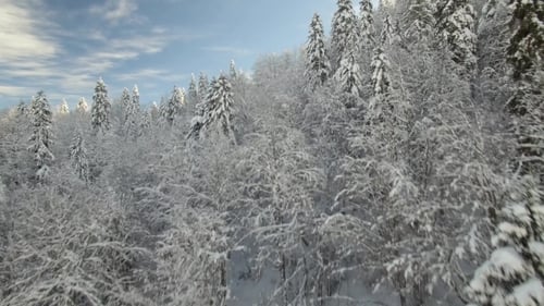 Vue Aérienne De La Station De Ski
