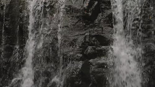 Scenery with Waterfall