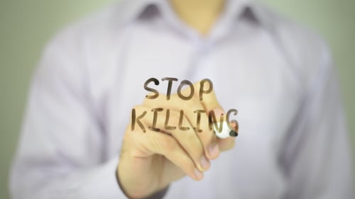 Stop Killing Written by Hand on Glass