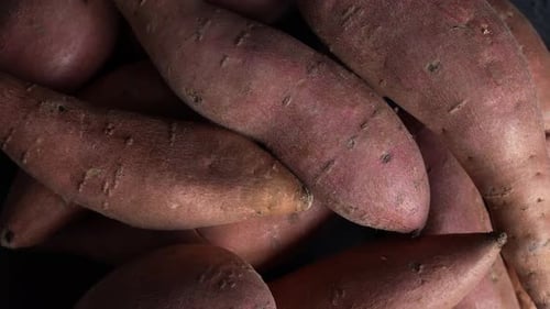 Close Up of Raw Sweet Potatoes