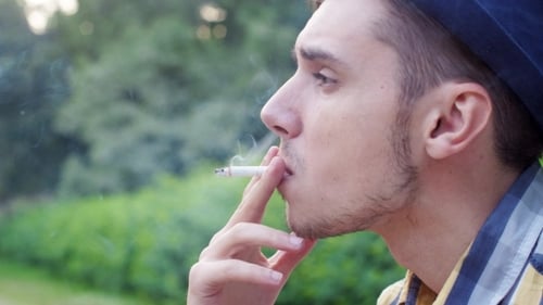 Visage De Garçon Au Chapeau Fumant La Cigarette Dans Summer Green Park Fumée