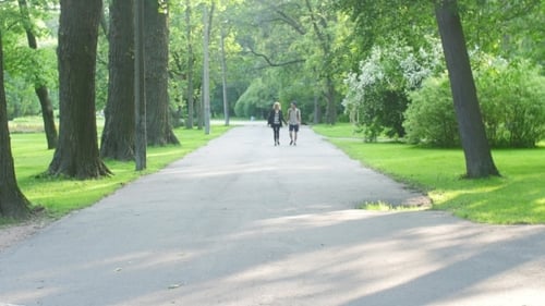 Walking In Love Couple With Backpacks. Summer. Holding Hands Park. Happyness