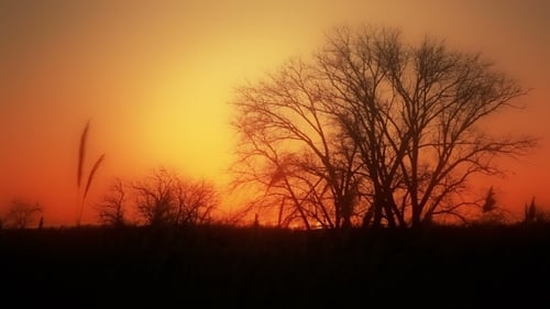 Sunset On The River - Landscape Series