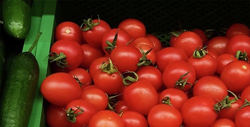 Fresh Vegetables on Display at a Grocery Store