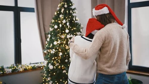 Couple Embracing By Christmas Tree In Cozy Home