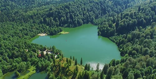 Aerial View Over The Forest And Lake