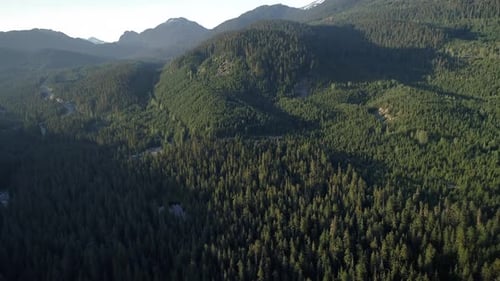Sommerwald-Luftaufnahme über Bergen bei Whistler Kanada