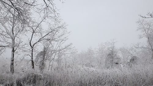 Schneesturm Schneesturm Winter