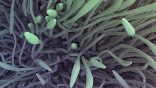 Abstract Organic Tentacles Fluid Motion Background