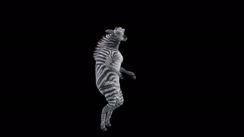 Dancing Zebra 3D Animation Loop for Fun Celebrations