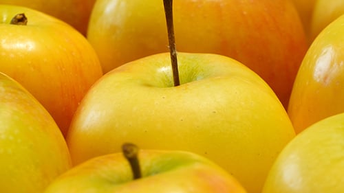 Rotierende gelbe Äpfel