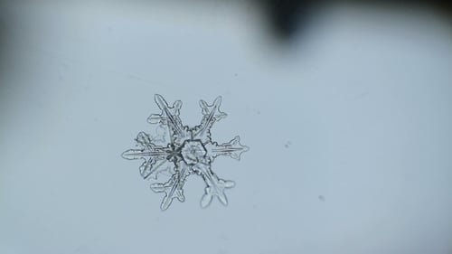 Snowflake Growing on The Glass