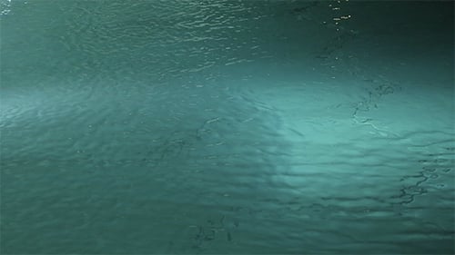 Water Surface with Calming Ripples and Gentle Light