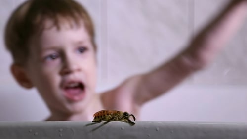 A Little Boy Bathes and Plays in the Bathroom
