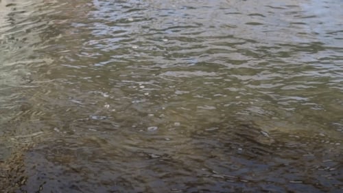 Creek Im Park Klares Wasser Hintergrund
