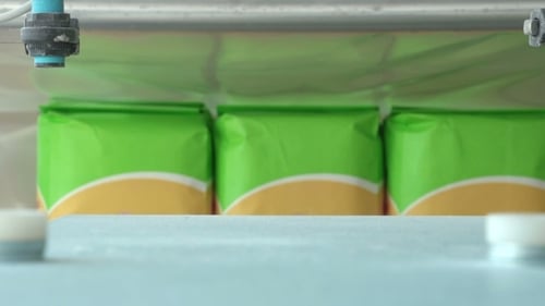 Bright Green Packages Move on Conveyor Belt in Factory