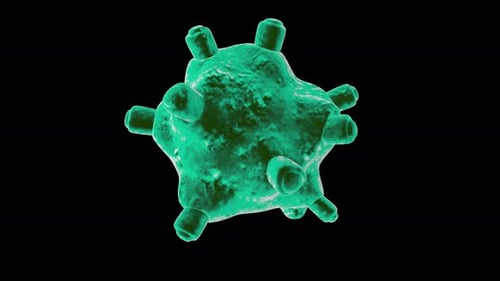 Generic Germ Animation