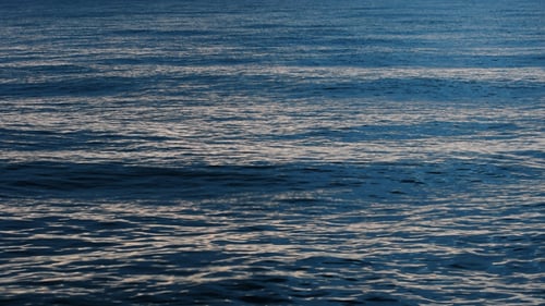 Sea