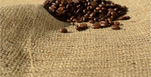 Roasted Coffee Beans on Burlap