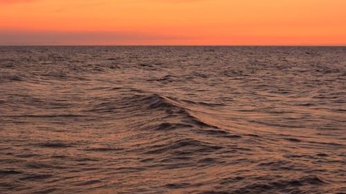 Sea