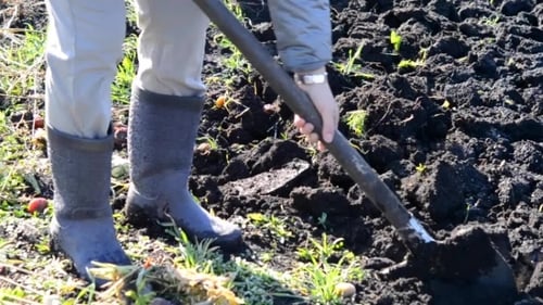 Person Digging in the Soil with a Shovel