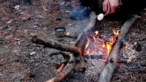Adult Roasting Marshmallow by a Campfire