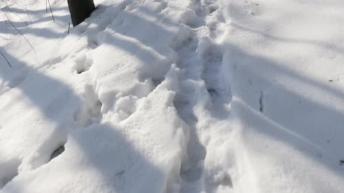 Snow traces of boots POV 4K 2160p 30fps UltraHD footage - Following trails in the forest 3840X2160