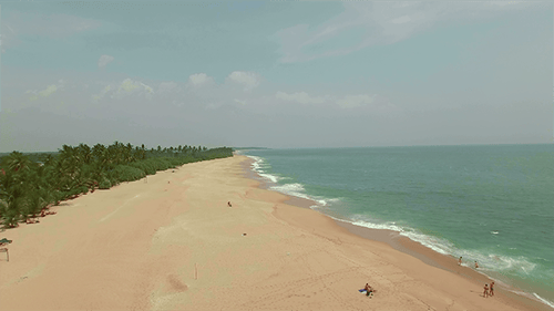 Tropischer Strand